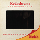 digitize photographs
