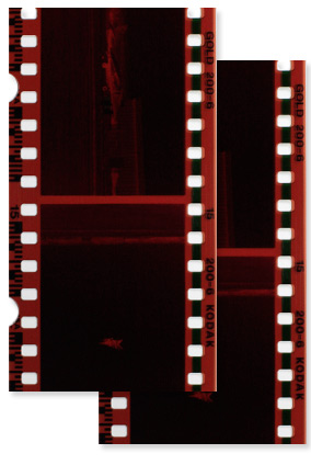 digitize photographs